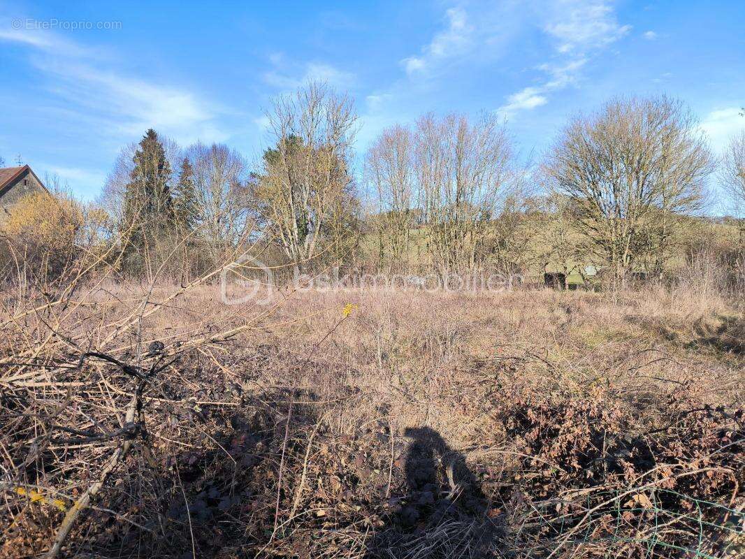 Terrain constructible de 2012 m² - photo 2