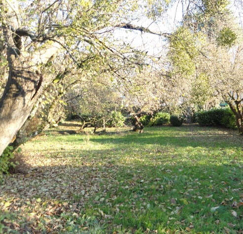 Superbe parcelle à batir viabilisee de 7,92 ares - photo 2