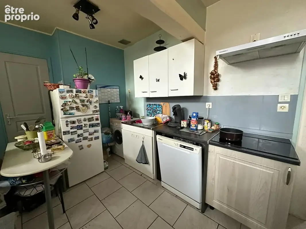 Immeuble Muille Villette 29 pièce(s) 450m² - photo 13