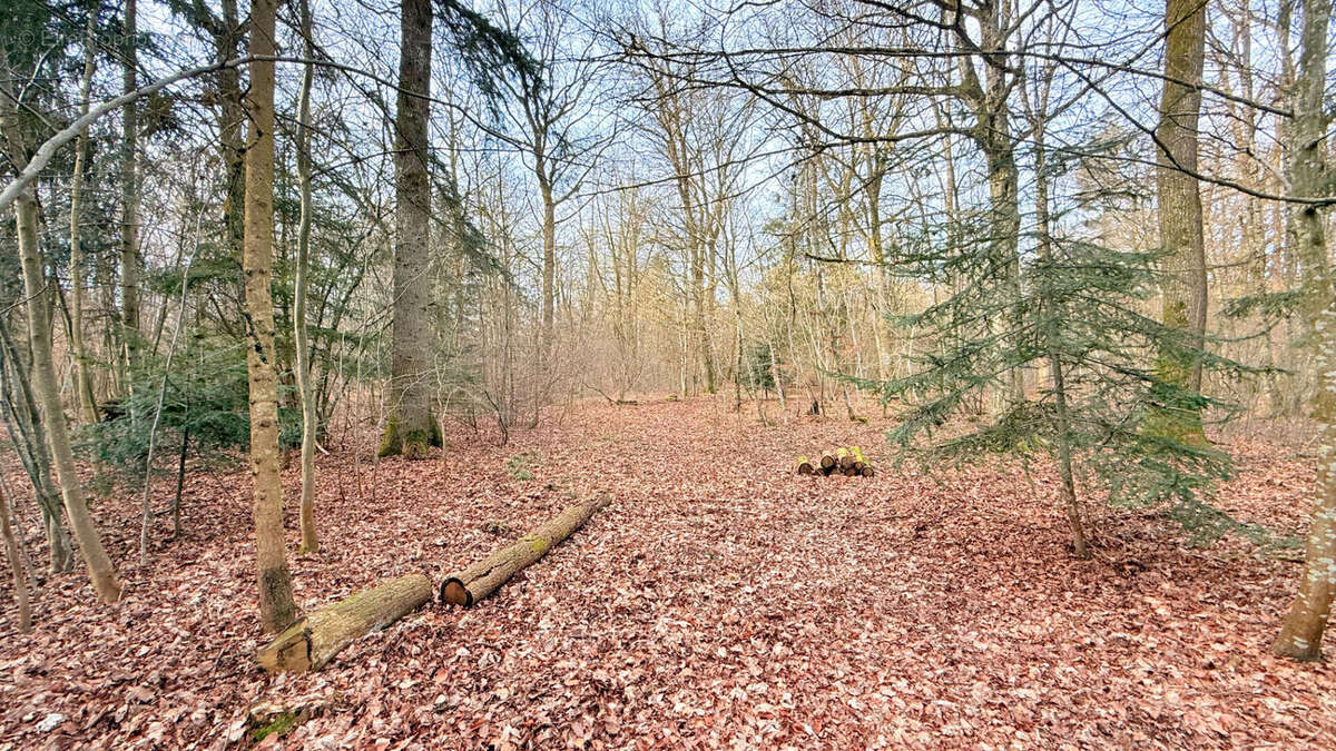 Maison à RAMBERVILLERS