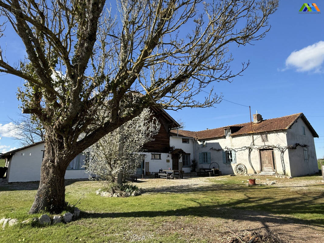 Maison à MASSEUBE