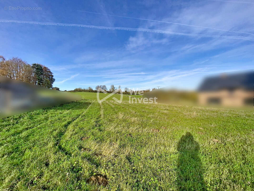 Terrain à SASSEGNIES