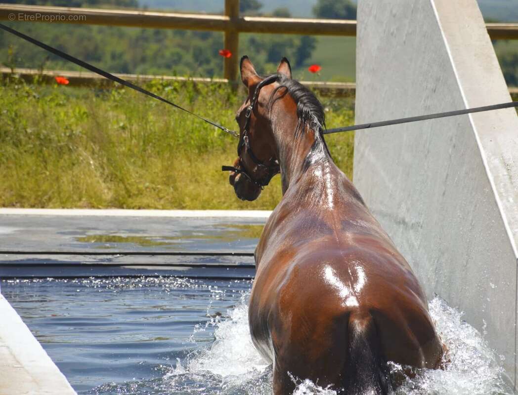 Maison à SAINT-VINCENT-DE-LAMONTJOIE