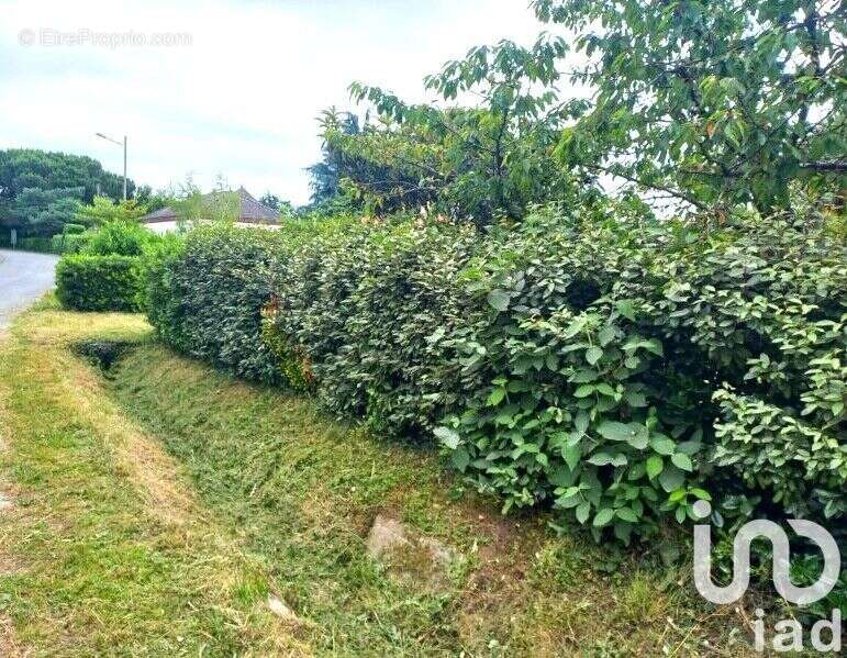 Photo 7 - Terrain à BRAX