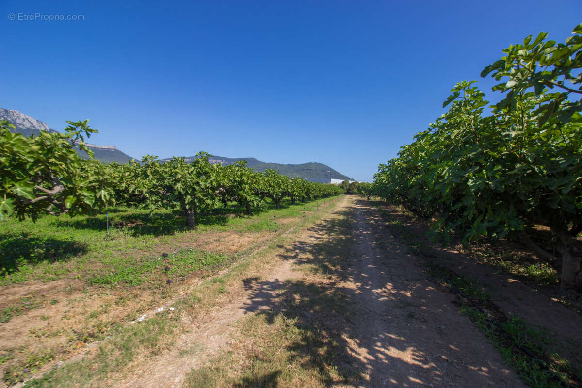 Maison à LA FARLEDE