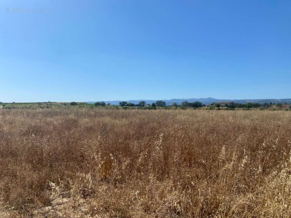 Terrain à OLONZAC