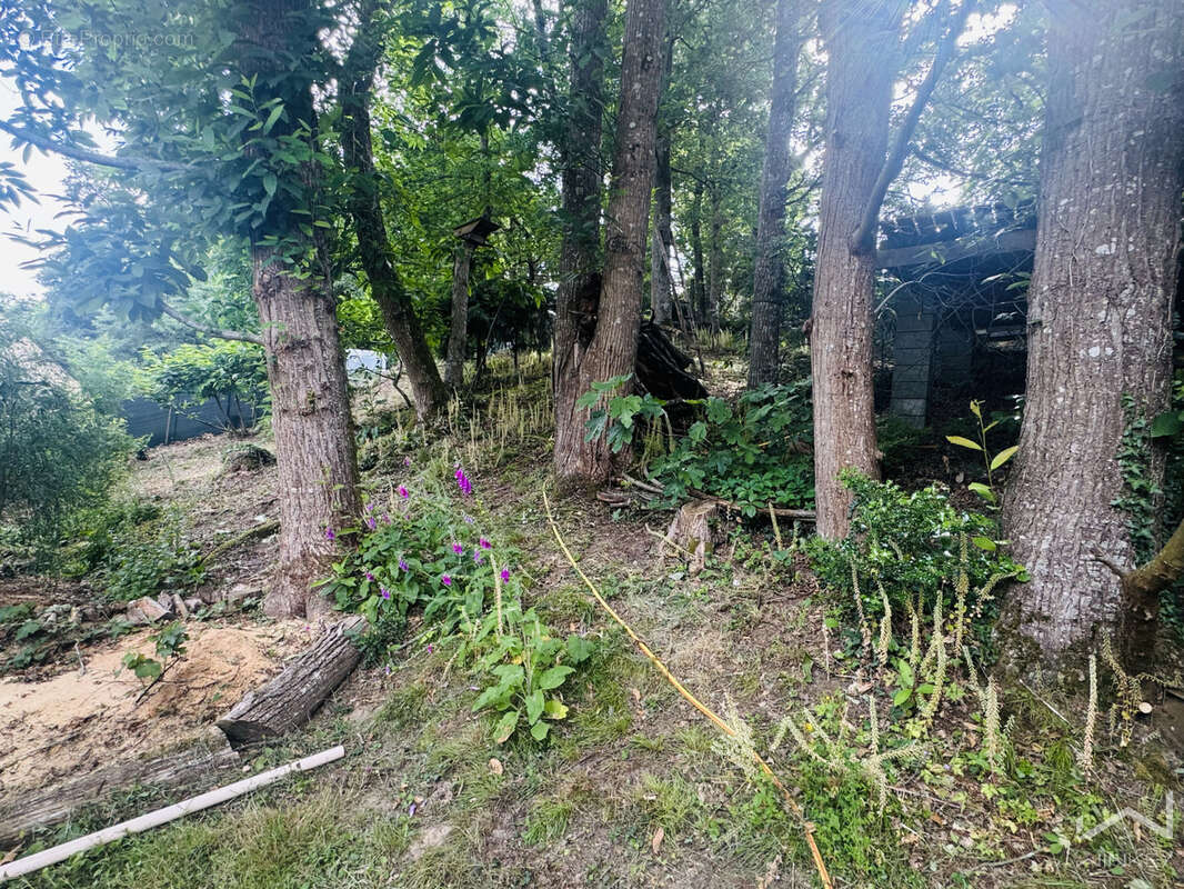 ensemble immobilier : maison rénovée + chalet a rénover  sur 1600 m2 terrain - photo 32