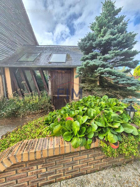 Maison à AUMALE