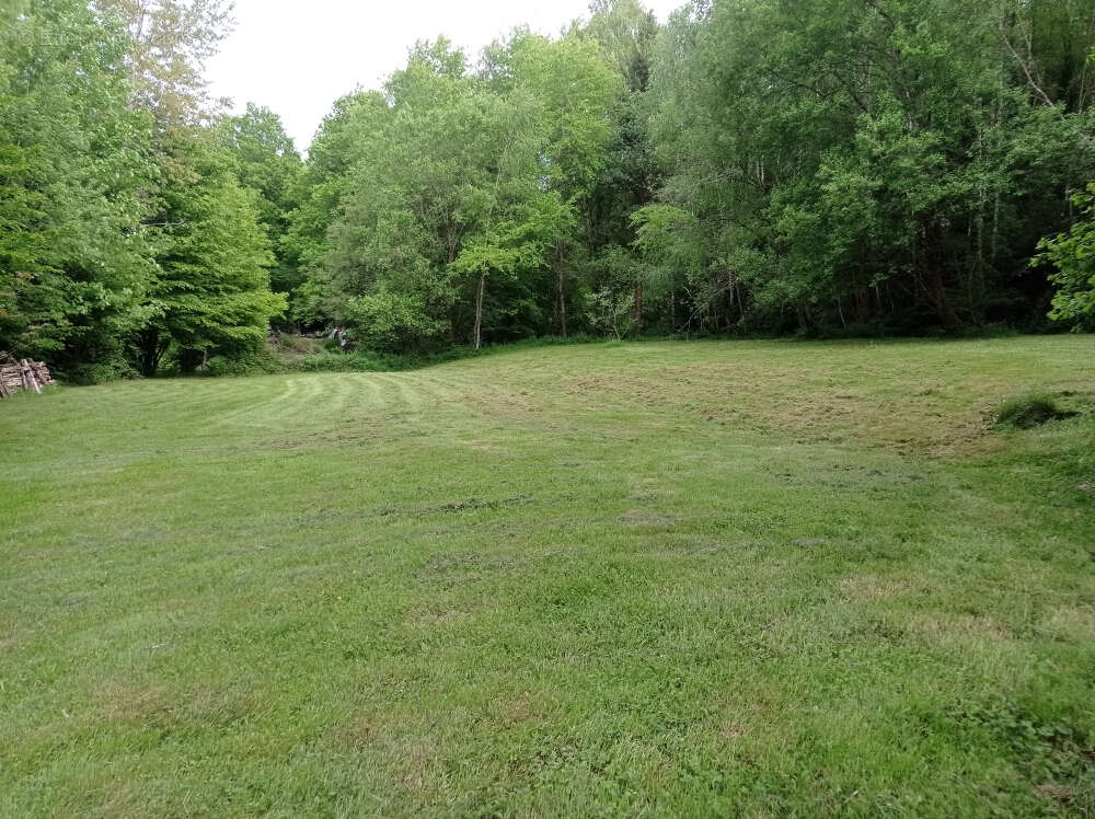 Maison à NEUFMAISONS