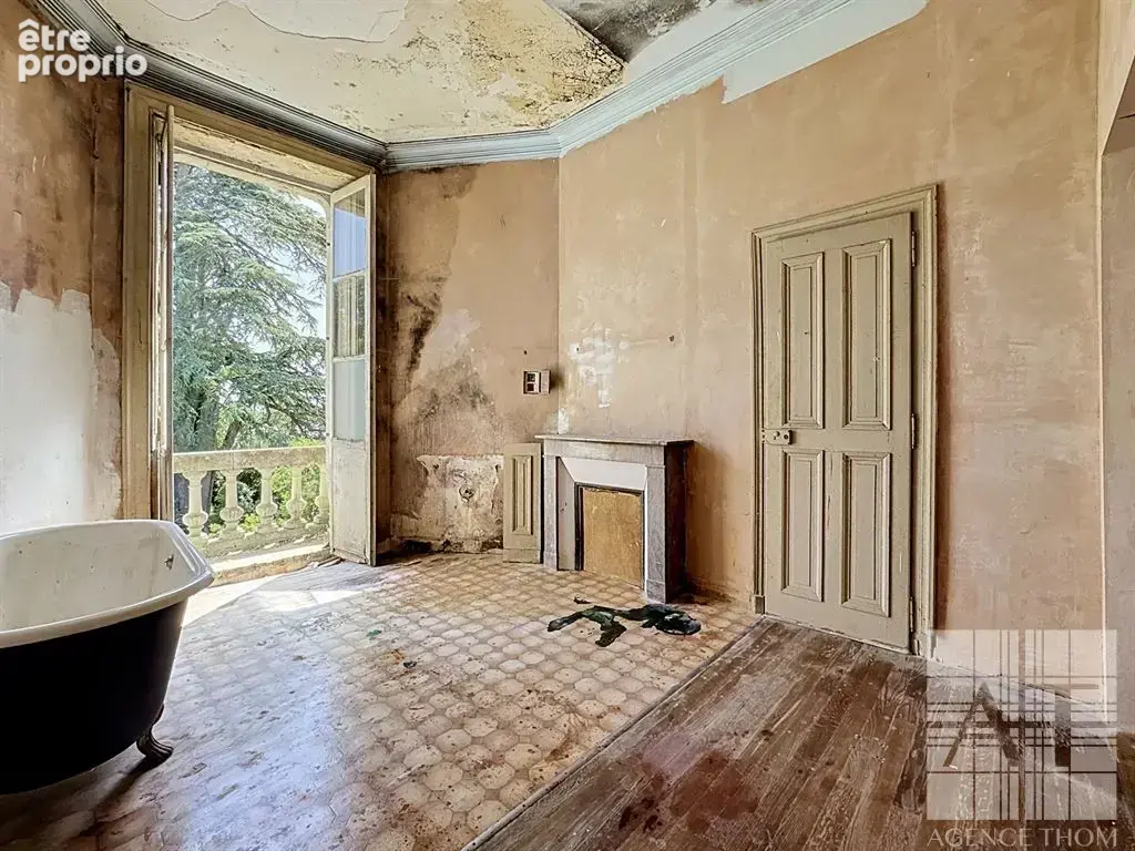 Château du Domaine avec parc de 4 084 m² - un projet de restauration unique! - photo 10