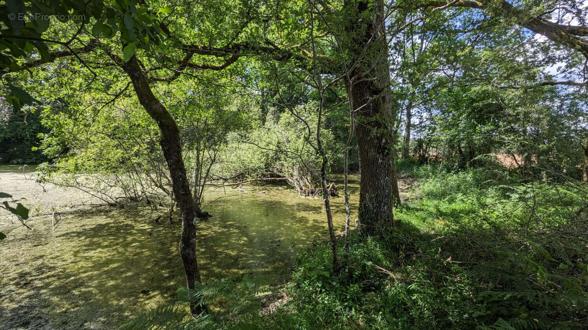 Terrain à USSON-DU-POITOU