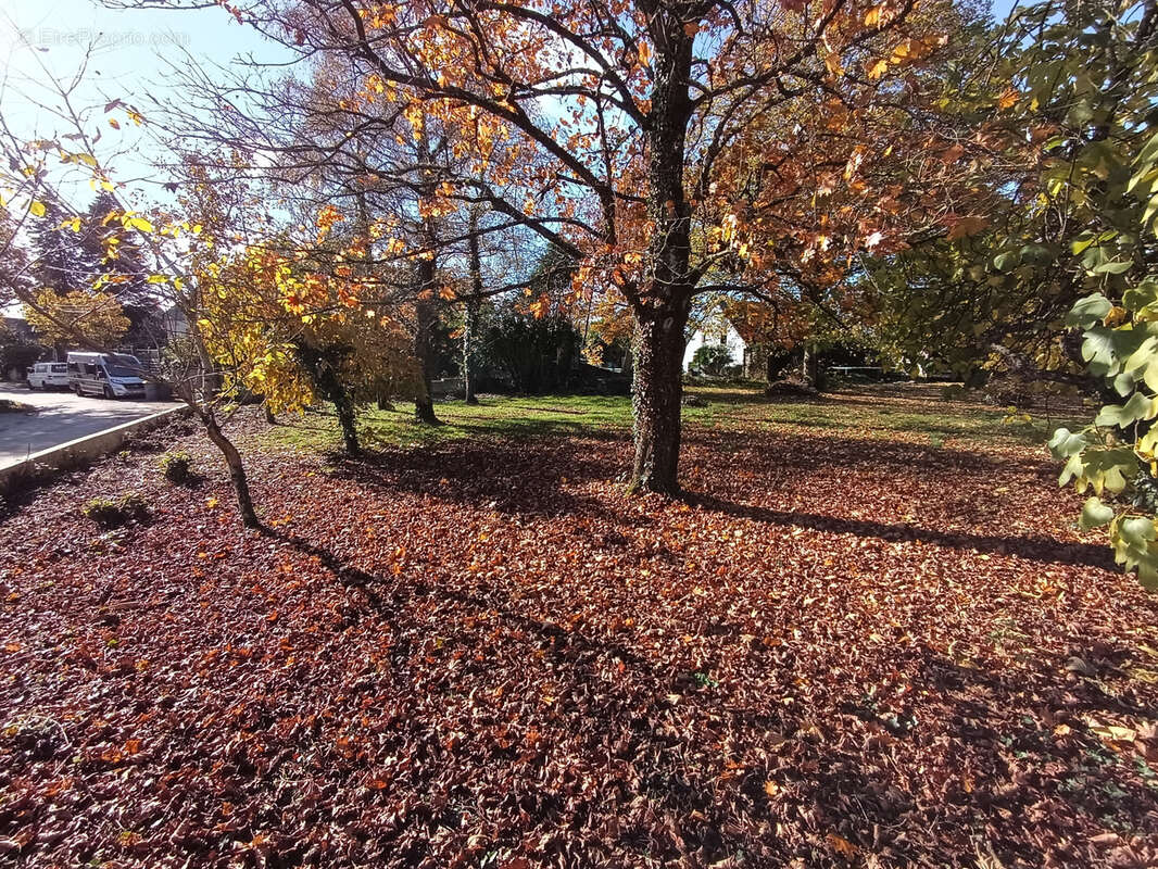 Terrain à THORIGNE-FOUILLARD
