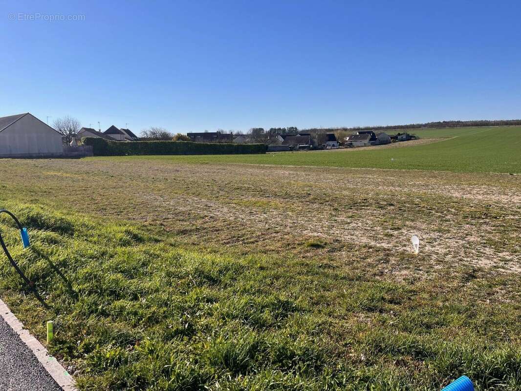 Photo 3 - Terrain à LES PETITES-LOGES