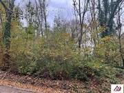 Terrain à SAINT-DENIS-SUR-SCIE