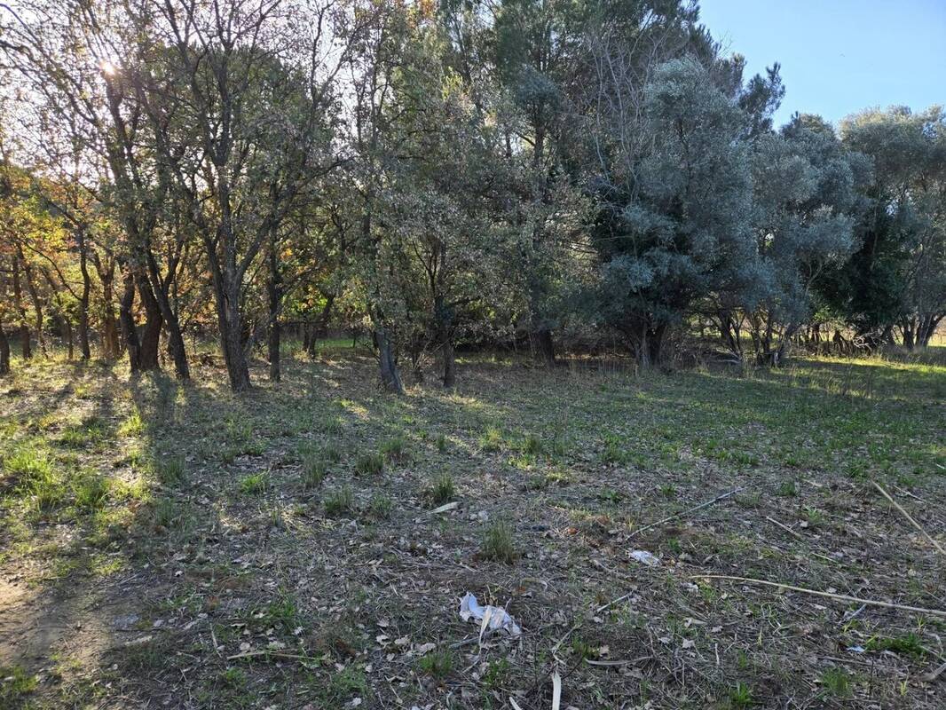 Terrain à BORMES-LES-MIMOSAS