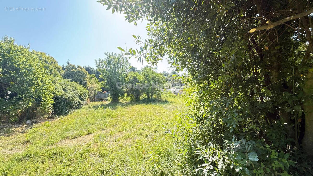 Terrain à VACQUEYRAS