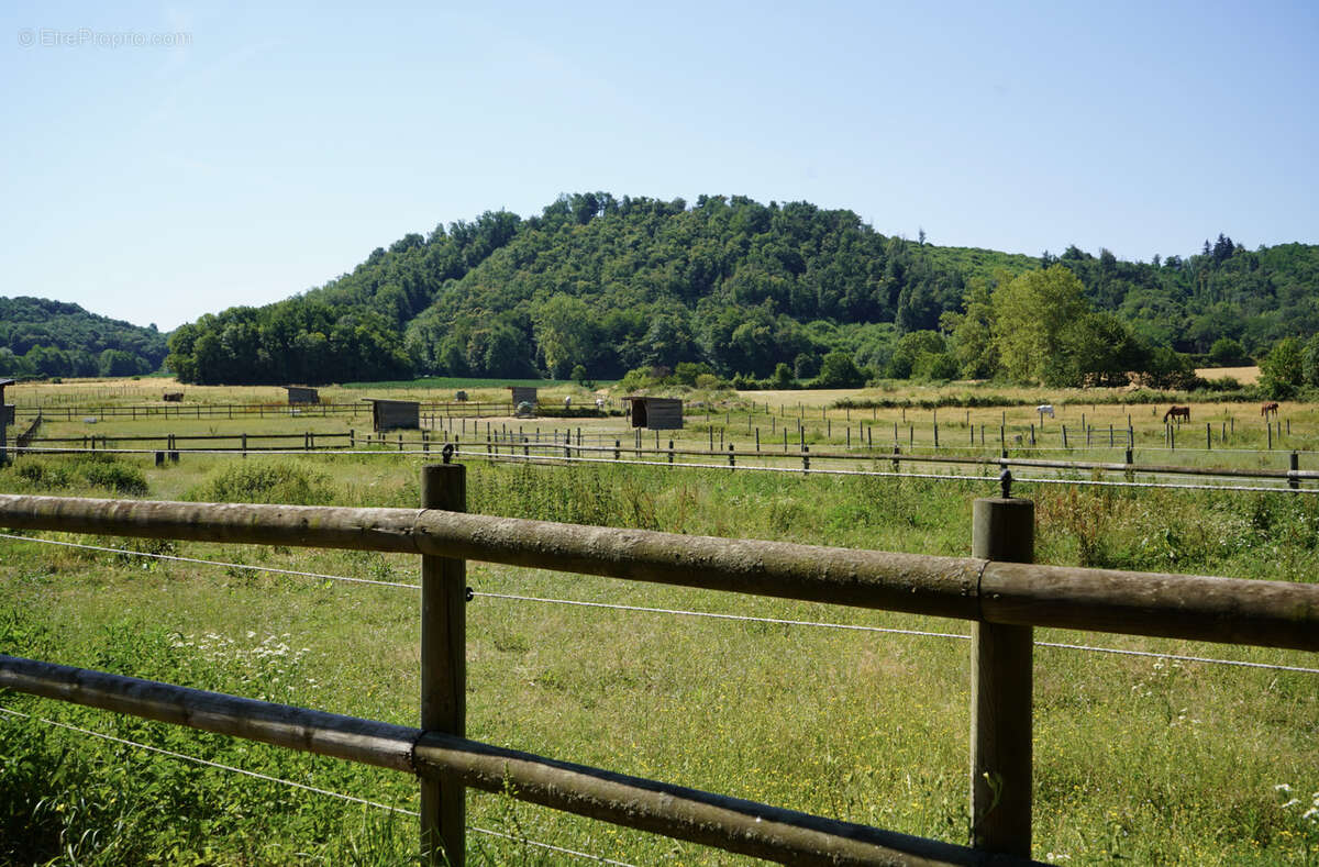 Haras du mas de meyrie - photo 21