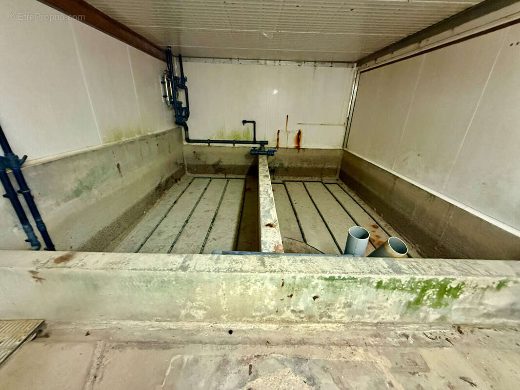 Commerce à SAINT-MALO