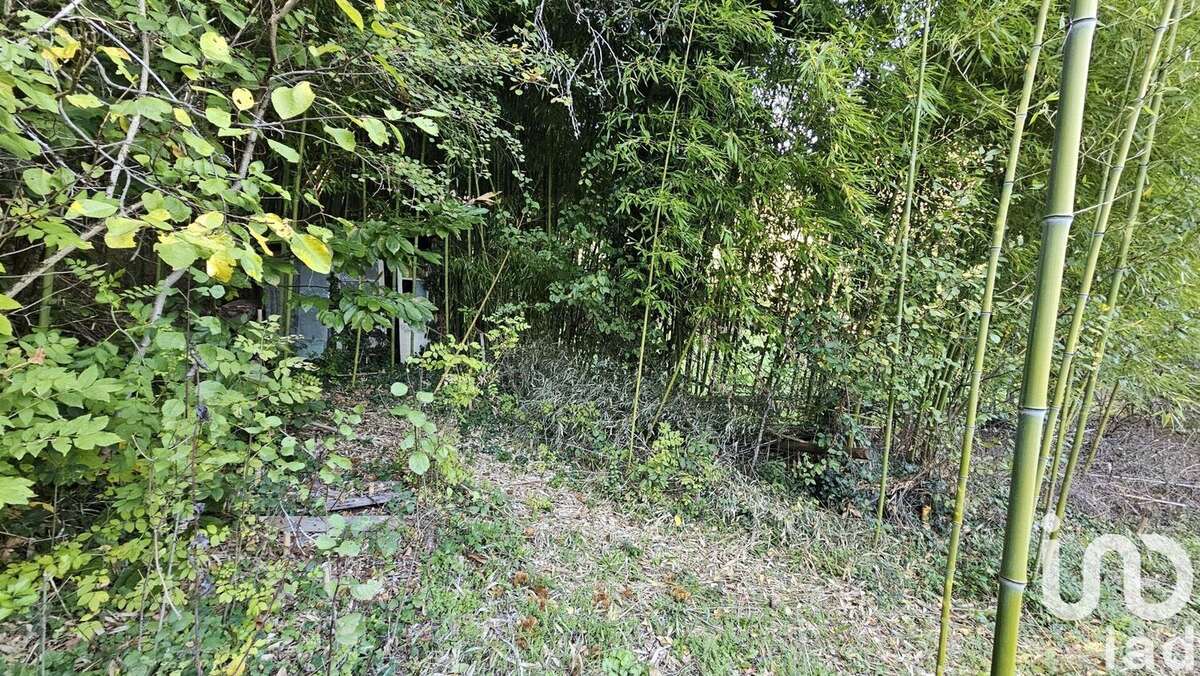 Photo 6 - Maison à MAURS