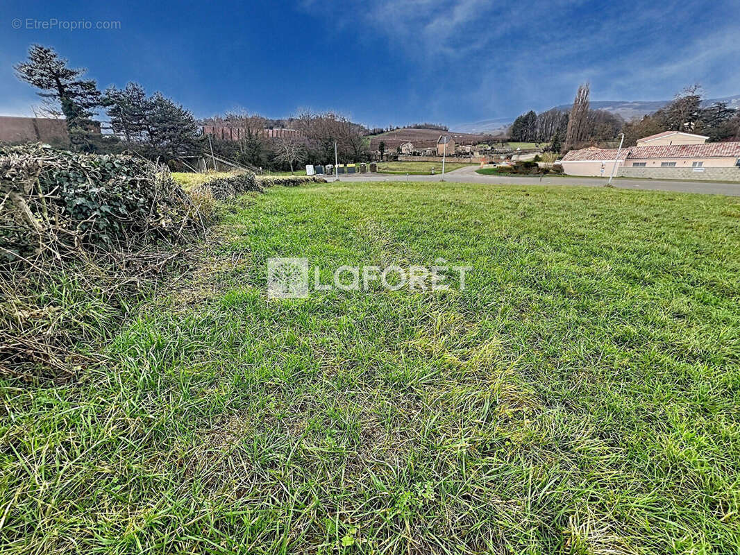 Terrain à PRISSE
