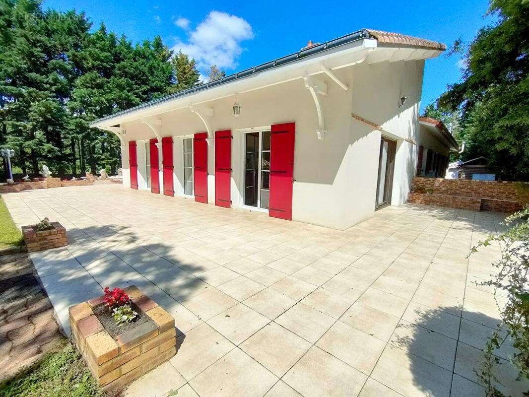 Maison Saint Martin des Tilleuls 6 pièces 192 m2 - photo 3