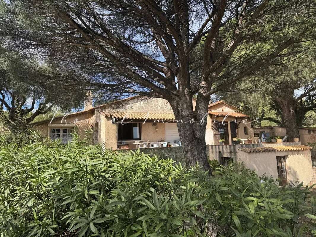 Maison à GRIMAUD