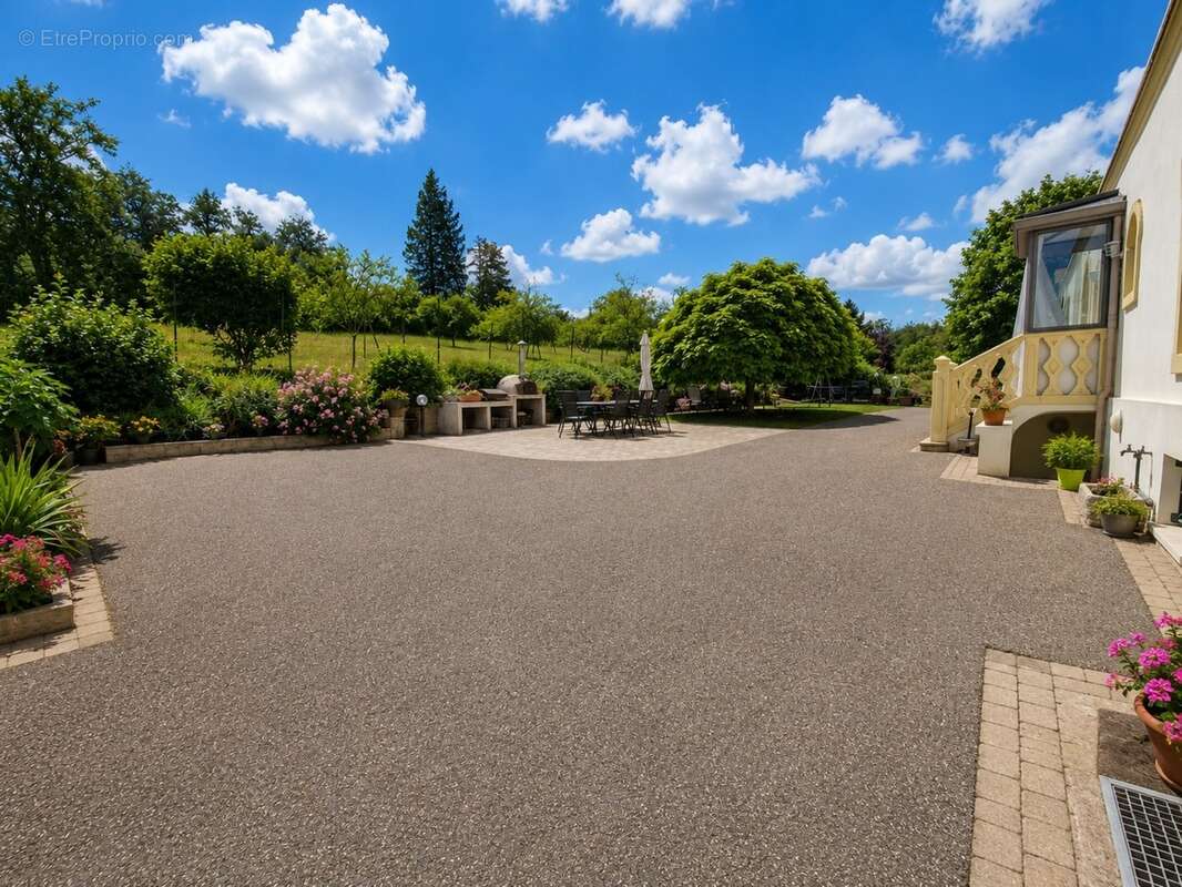 Propriete à vendre 9 pièces MIRECOURT (88) PROPRIÉTÉ D'EXCEPTION avec PISCINE sur TERRAIN clos et arboré de + de 6.500 m2 - photo 21