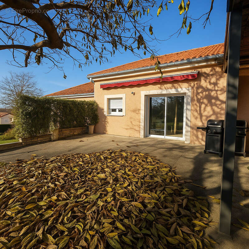 Maison à COMMELLE-VERNAY