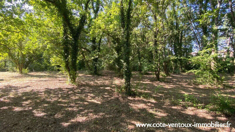 Terrain constructible viabilisé - 1016 m² - photo 3