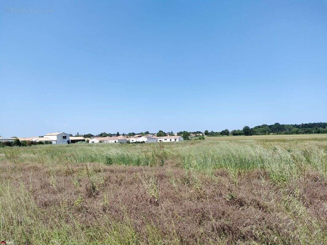 Terrain 333 m² à Corpe  - photo 2