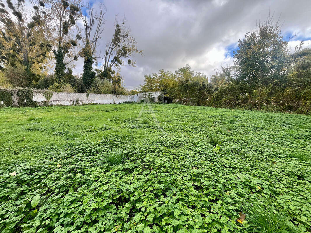 Terrain à NANTOUILLET