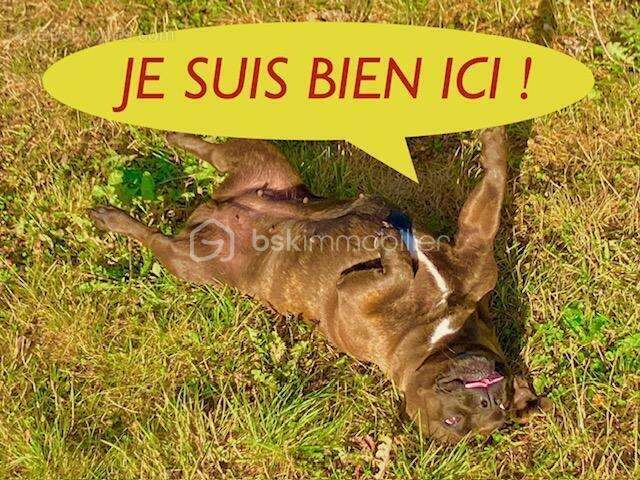 Maison à FAUQUEMBERGUES