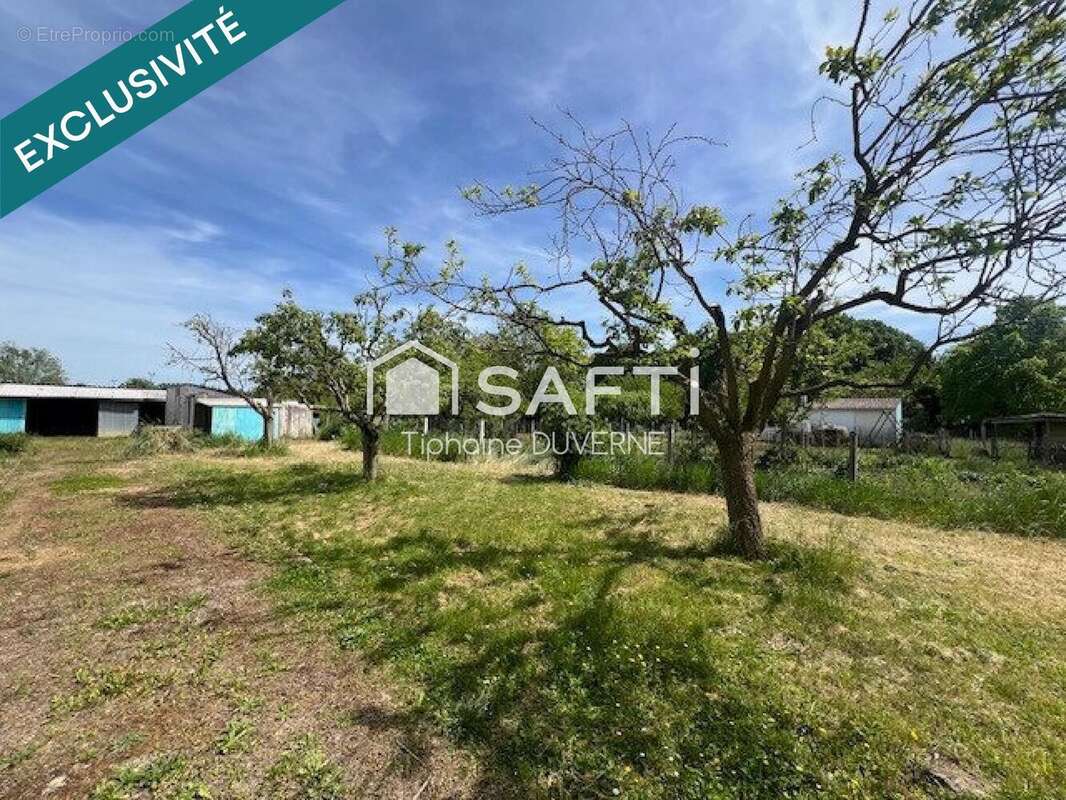 Photo 5 - Terrain à CHAGNY