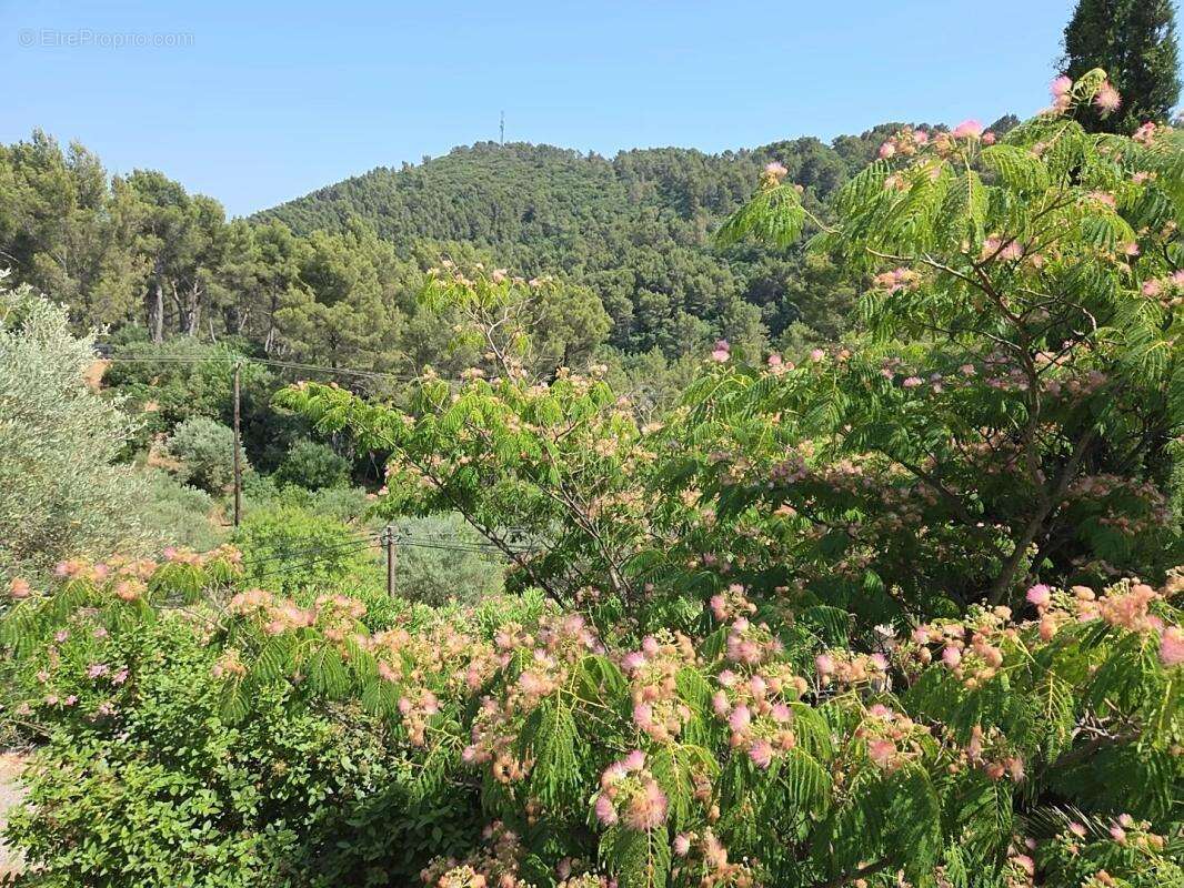 Maison à SOLLIES-VILLE