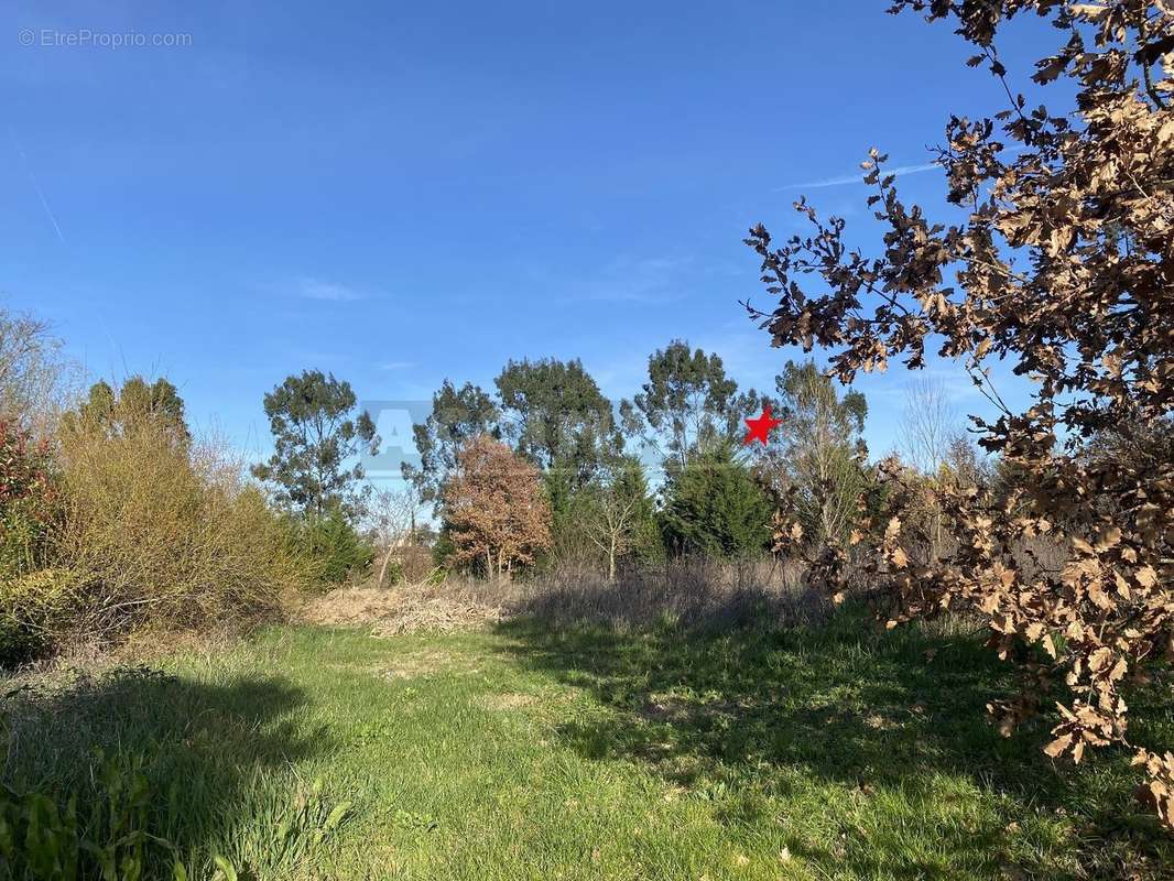 Terrain à SAINT-SULPICE