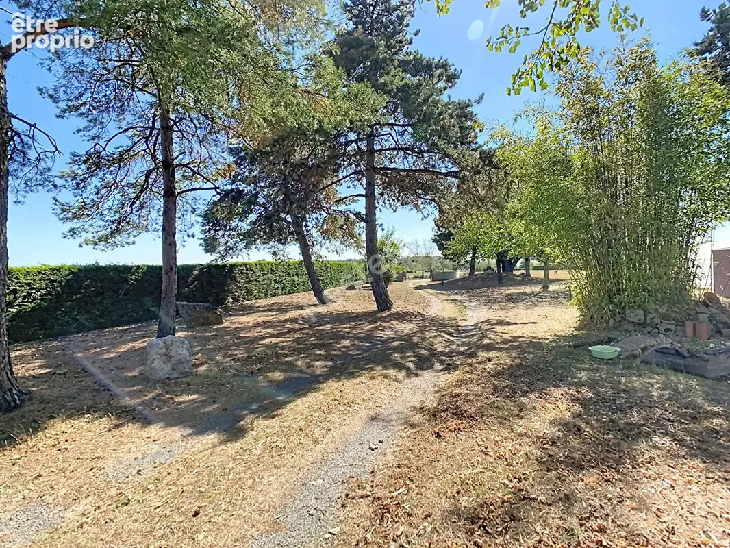 Maison sur sous sol à vendre sur la commune de Gesté avec un grand terrain - photo 3