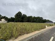 Photo 1 - Terrain à CHECY