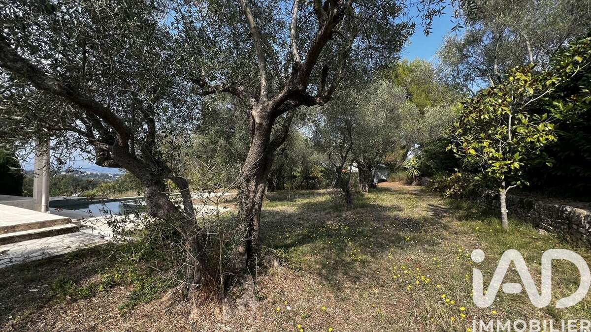 Photo 3 - Maison à VALBONNE