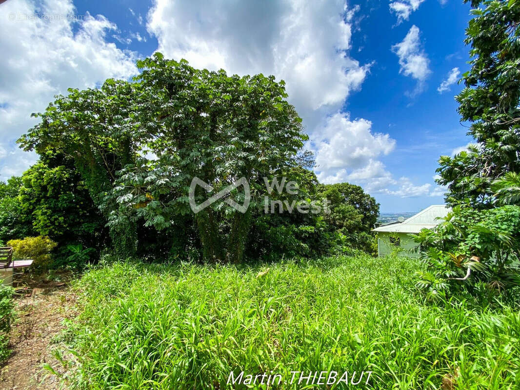 Terrain à LE LAMENTIN
