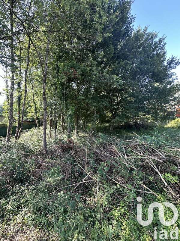 Photo 2 - Terrain à COURTENAY