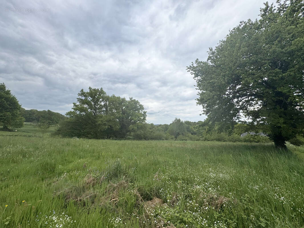 Terrain à LIGINIAC