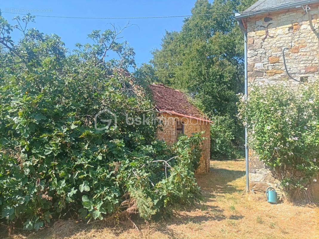 Maison 2 chambres - batiments annexes - terrain  7095 m2 - photo 5