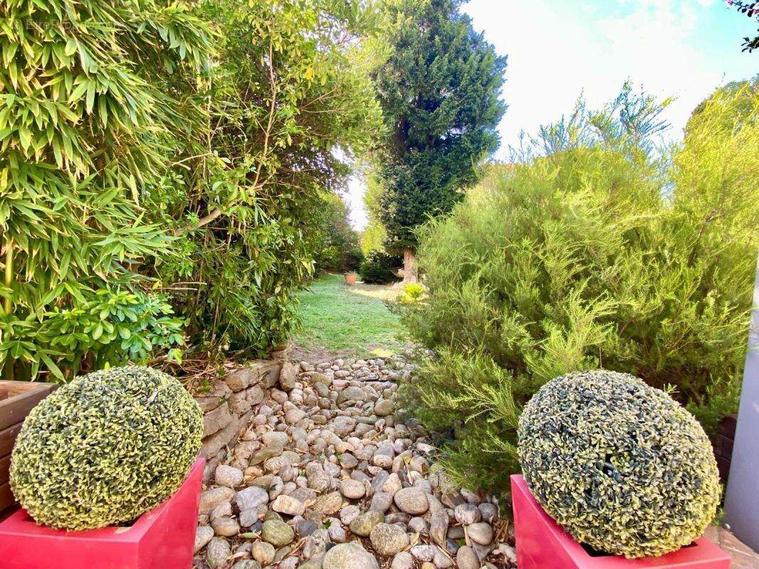 Maison à CARCASSONNE