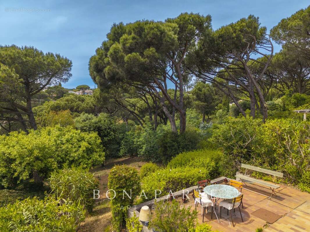 Maison à RAMATUELLE
