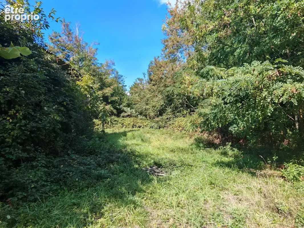 Ensemble immobilier avec fort potentiel sur plus de 1,6ha de terrain - photo 3