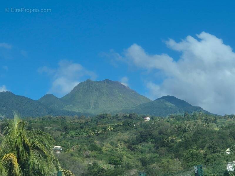Terrain à BASSE-TERRE