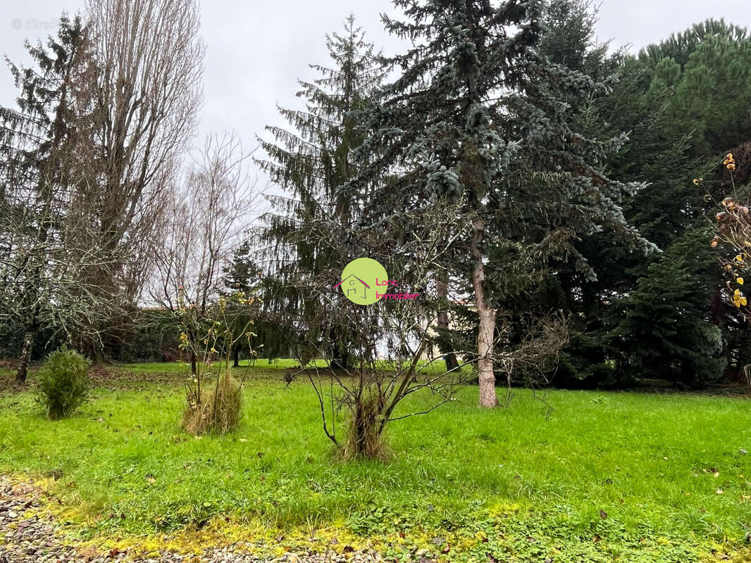 Maison à FONTCOUVERTE