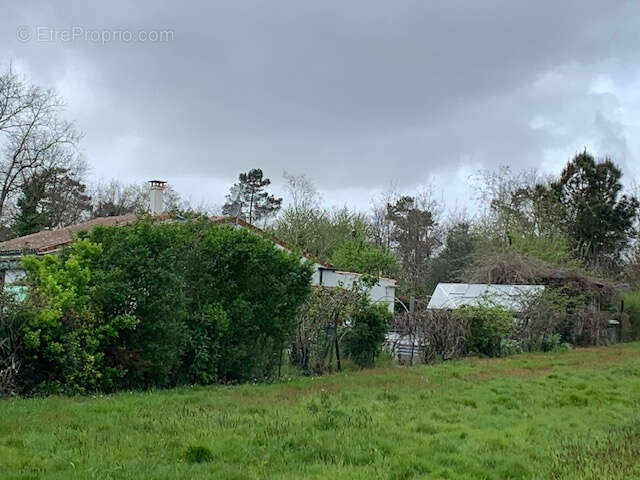 Terrain à SAINT-BONNET-SUR-GIRONDE