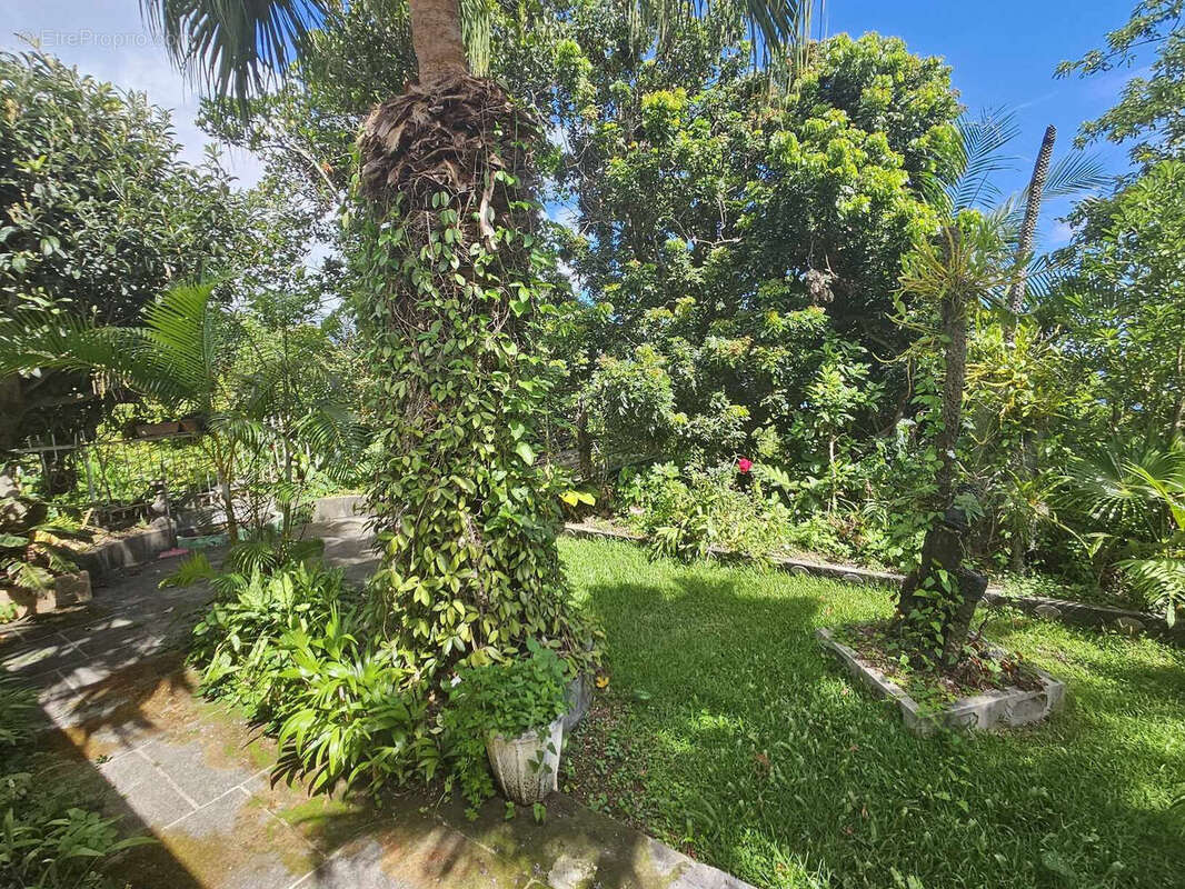 Photo 6 - Maison à SAINTE-MARIE