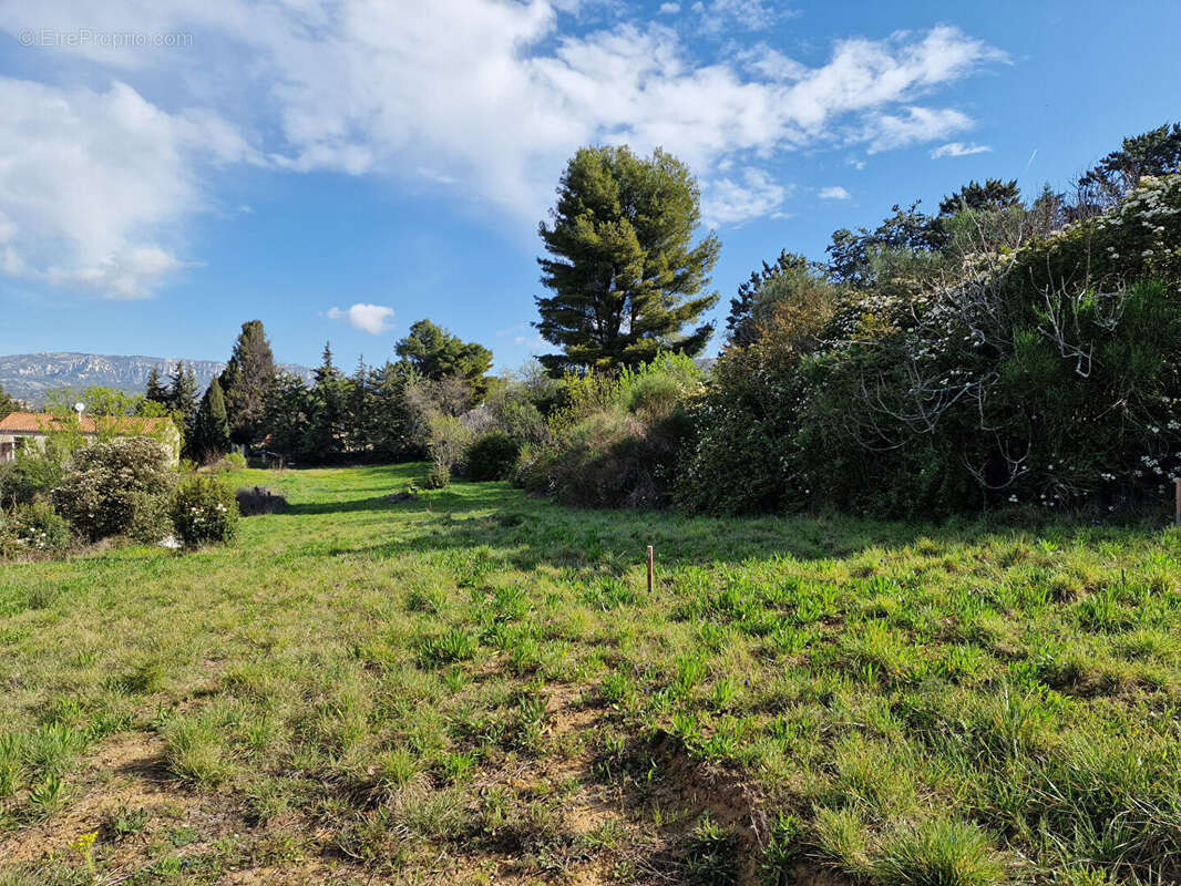 ALLAUCH - Terrains à bâtir - photo 3
